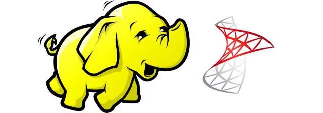 Hadoop and SQL Server logo