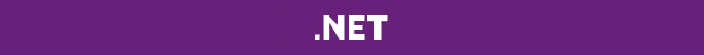 .net 4.5 style